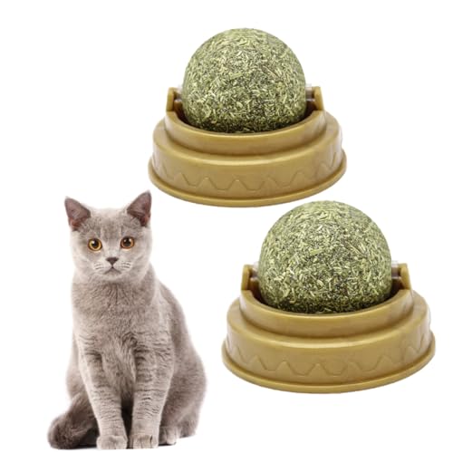 BESPORTBLE 2St Katze leckt Ball katzenminze Catnip Katzen minzekissen Katze haarball behandeln Katze leckt Snack Feste Nahrung für Katzen, Verdauungsförderer für Katzen Katzenbissball von BESPORTBLE