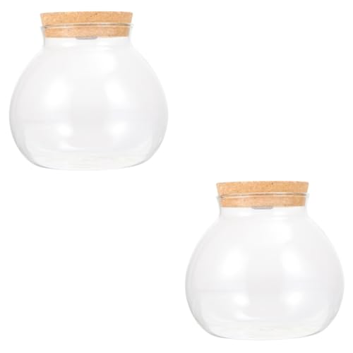 BESPORTBLE 2St Landschaftsflasche Ökologische Flasche mit Algenkugel klarer Behälter led ligts led-Light künstliche Pflanzen basteln Micro-Landschafts-DIY-Flasche Heimdekoration Holz Weiß von BESPORTBLE