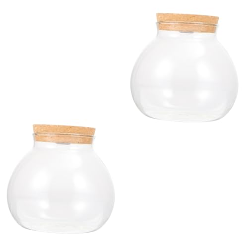 BESPORTBLE 2St Landschaftsflasche led ligts led-Light klar Zubehör für Schildkrötenpanzer behälter Mini glasflaschen Heimdekoration Glasflasche mit Deckel Glas mit hohem Borosilikatgehalt von BESPORTBLE