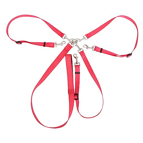 BESPORTBLE 2St Trainingsleine für Hunde hundegurt hundelaufband Hunde Gurt Hundeleine mit Clips Heimtiertraining führen Trainingsleine für Haustiere Hundetraining führen DREI Hundeleine von BESPORTBLE