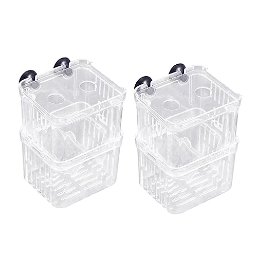 BESPORTBLE 2st Brutkasten Braten Fischbecher Korb Aquarium-Set Pinzette Stand Thaddäus-Aquarium- Zubehör Für Aquarien Dekorationen Für Aquarien Sprudler Brunnen Netz Plastik von BESPORTBLE