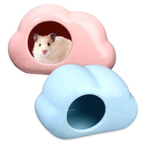 BESPORTBLE 2st Hamsternest Aus Keramik Heu Meerschweinchenkäfig Welpen Pads Haustier Bettwäsche Haustiernapf Hamsterschutzhaus Rennmaus Rattan Hundenapf Wurf Schweine Zwerghamsterhaus von BESPORTBLE