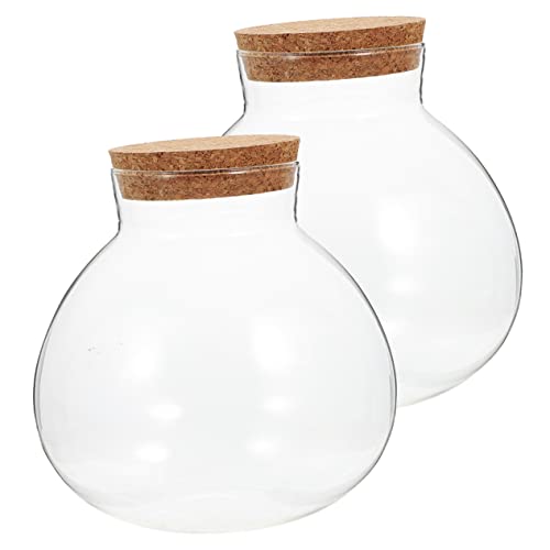 BESPORTBLE 2st Ökologische Mikrolandschaftsflasche Bonsaischale Aus Mini-blumentopf Kleiner Monitor Tischdekoration Hydrokulturvase Klare Blumenvase Küchenkanister Vasen Kristall Glas Pflanze von BESPORTBLE