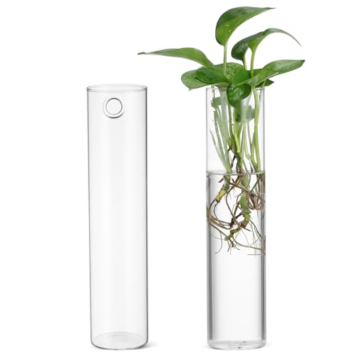 BESPORTBLE 2st Wandvase Wand Für Zimmerpflanzen Schwimmender Pflanzentopf Vermehrungsgefäße Wasserschläuche Pflanzgefäß Zur Wandvermehrung Blumenrohrvase Blütenröhren Vasen Transparent Glas von BESPORTBLE