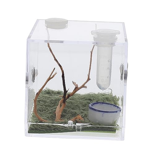 BESPORTBLE 3 Sätze Springspinnen-Zuchtbox Spinnentropfer reptichip Gehege für Stabheuschrecken Minizaun insektenhäuser Mini Terrarium Mini-Luftbefeuchter Tier Insektenhaus Spinnenkäfig Acryl von BESPORTBLE