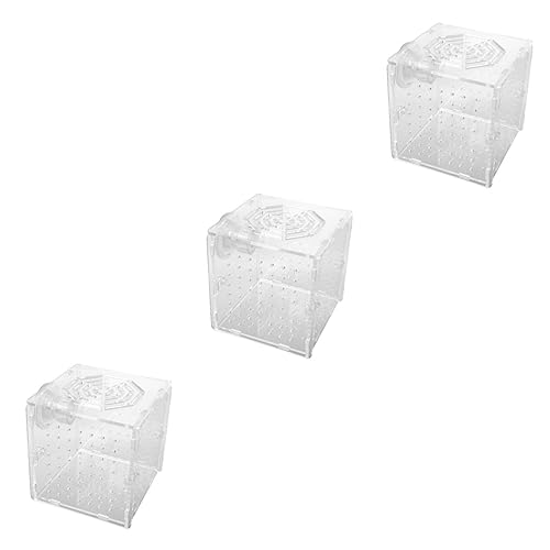 BESPORTBLE 3 Stück Box Fischbrutkästen Aquarium Zuchttank Fischbrutkasten Netz Isoliert Zuchttank Fischnetz Acrylgehäuse Zuchtnetz Bratenaufzuchttank Transparent von BESPORTBLE