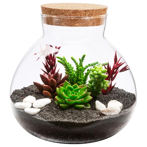 BESPORTBLE 3 Stück Mikro Landschaftsflasche Große Pflanzenanzuchtgläser Fischglas Dekorationen Behälter Terrarium Sets Bonbonglas Extra Große Gartentöpfe Pflanzenanzuchtstation Kork von BESPORTBLE