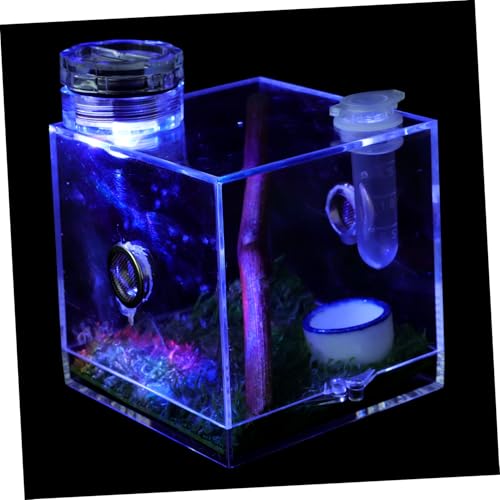 BESPORTBLE 3Er-Box Springspinnen-Zuchtbox großes Terrarium Lebensraumkäfig für Schnecken Froschträger Spinnenfutterbox Spinnenbeobachtungsbox gehäuse Zuchtträger Spinnenlebensraumhalter Holz von BESPORTBLE