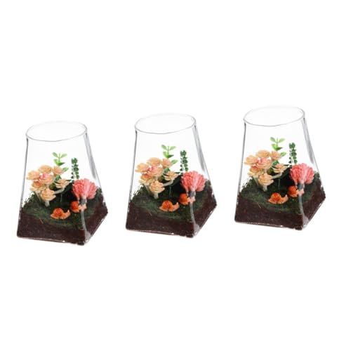 BESPORTBLE 3st Ökologische Mikrolandschaftsflasche Blumenvasen Pflanzenterrarium Pflanzen Terrarium Mikro-landschaftsflasche Pflanzenbehälter Vasentopf Leeres Terrarium Glas von BESPORTBLE