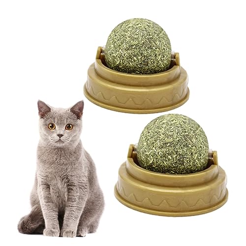 BESPORTBLE 4 Stück Katze behandelt Minzkugel katzenminze Catnip Katzen Snack schlecksnack für Katzen Leckereien für Katzen katzensnacks süßigkeiten Katze leckt Ball Katzenbissball Green von BESPORTBLE