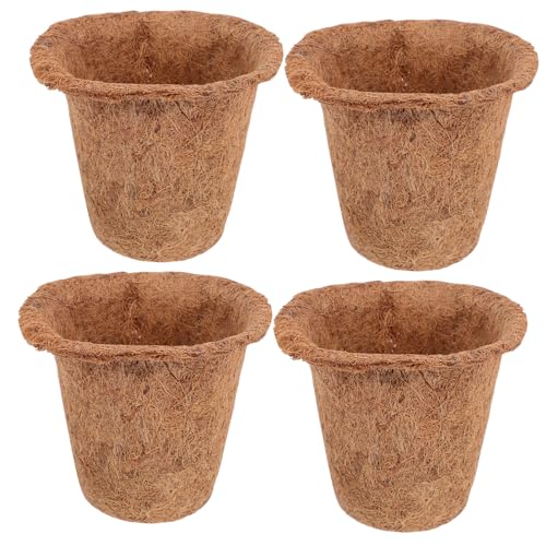 BESPORTBLE 4 Stück Kokosnuss-Palmen- -Cup Trog Terrakotta saftig Kleiner Blumentopf Sukkulenten pflanzenpflege blumentöpfe pflanzensamen Anzuchttöpfe für Pflanzen Pflanztopf Light Brown von BESPORTBLE