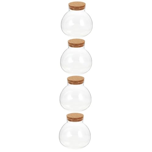 BESPORTBLE 4 Stück Moos Landschaftsbehälter Mikro Landschaftsflasche Kork Pflanzennahrungsbehälter Töpfe Pflanze Terrarium Vase Mikro Landschaftsflasche DIY Flasche von BESPORTBLE