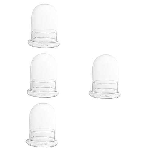 BESPORTBLE 4 Stück Moospflanze Cloche Dome Ästhetische Glasglocke Terrarium Sukkulenten Display Cloche Dome Heimdekoration Zylinder Kuppelabdeckung Hydrokulturpflanzen Luft Borosilikatglas von BESPORTBLE