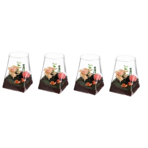 BESPORTBLE 4 Stück Ökologische Mikrolandschaftsflasche Vase innerspace Window Sills Glasterrarium Dekoration glasflasche deko Mikro-Landschaftsflasche Pflanztopf aus Glas Pflanzen Terrarium von BESPORTBLE