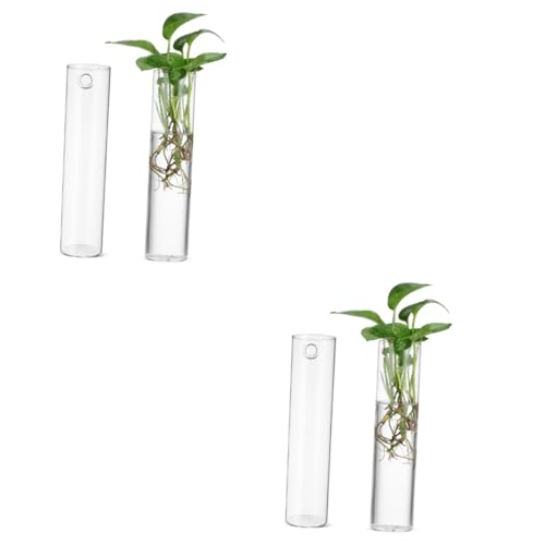 BESPORTBLE 4 Stück Wandvase An Der Wand Befestigte Pflanzgefäße Wandpflanzgefäße Für Pflanzen Luftpflanzen Terrarien Hängender Pflanzenbehälter Wand Für Zimmerpflanzen Blumentöpfe Glas von BESPORTBLE