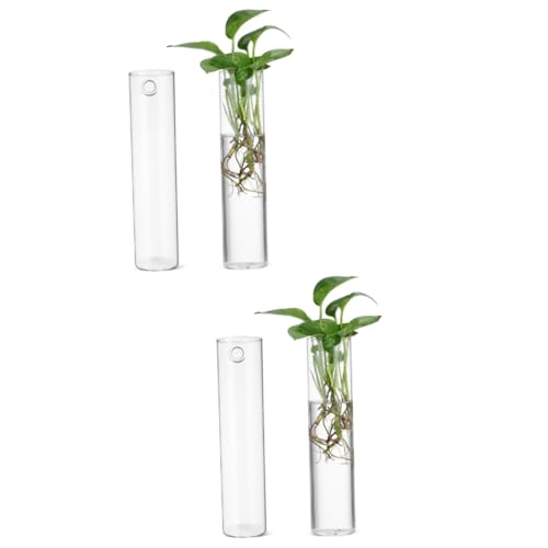 BESPORTBLE 4 Stück Wandvase Vermehrungsvasen für Pflanzen Wandpflanzgefäße für Pflanzen Wandpflanzer Wandmontage Glaswaren blumentopf blumentöpfe Terrarienpflanzenhalter Pflanzgefäße aus Glas von BESPORTBLE