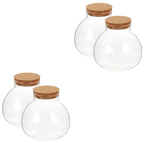 BESPORTBLE 4 Teiliges Mikro Landschaftsflaschen Terrarium Set Mit Pflanzen Mikro Landschaftsbau Behälter Terrarienzubehör Terrarium Vase Glas Mit Kork Pflanzenbehälter Mooskanister von BESPORTBLE