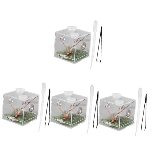 BESPORTBLE 4Er-Box Springspinnen-Zuchtbox kleines Terrarium Gecko Pflege Karakolen Tank insektenbox Insekten Box Reptilien Terrarium Belüftetes Terrarium Reptilfall Spinnenfall Acryl von BESPORTBLE