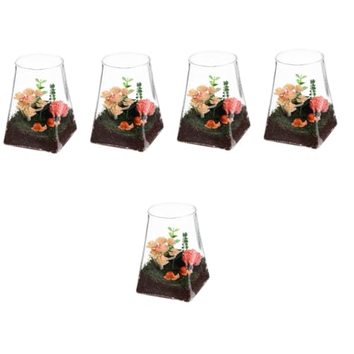 BESPORTBLE 5st Ökologische Mikrolandschaftsflasche Vase Mikro-landschaftsflasche Pflanzenterrarium Leeres Terrarium Pflanzen Terrarium Pflanzenbehälter Glas von BESPORTBLE