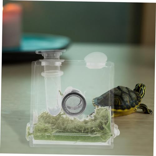 BESPORTBLE 8 Sätze Reptilienbehälter aus Transparente Zuchtbox für Springspinne Robustes Lichtdurchlässiges Gehäuse Kompakt und Leicht für Beobachtung und Fütterung Kleiner Wirbelloser BESPORTBLE 8 Sätze Reptilienbehälter aus Transparente Zuchtbox für Springspinne Robustes Lichtdurchlässiges Gehäuse Kompakt und Leicht für Beobachtung und Fütterung Kleiner Wirbelloser von BESPORTBLE