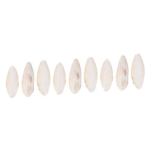 BESPORTBLE 9 STK Cuttlebone Kauspielzeug Kuschelknochen kanarisches Essen nager Spielzeug löthilfe Spielzeuge Cuttlebone-Beißspielzeug Haustierbiss Sepia kriechen Vögel Skelett Lebensmittel von BESPORTBLE