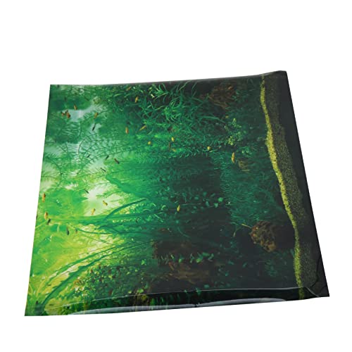 BESPORTBLE Aquarium Hintergrundpapier Aquarium-Plakat Dekorationen für Aquarien Fisch Lampe Kleiner Fisch für den einzug küchendekoration Aufkleber Aquarium Kulisse Aquarium-Tapete von BESPORTBLE