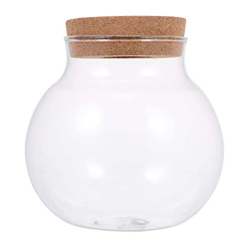 BESPORTBLE Mini Fisch Tank Wohnkultur Moos Pflanze Flasche Landschaftsbau Terrarium Pflanze Flasche Glas Flasche von BESPORTBLE