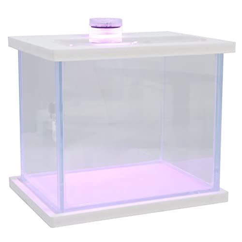 BESPORTBLE Aquarium Obere Abdeckung Für Aquarien Luft Zubehör Für Aquarien Wasser Stand Lichtregal Für Fischbecken Deckel Automatisch Futterspender Aquarientimer Vakuum Netz Essen Weiß Glas von BESPORTBLE