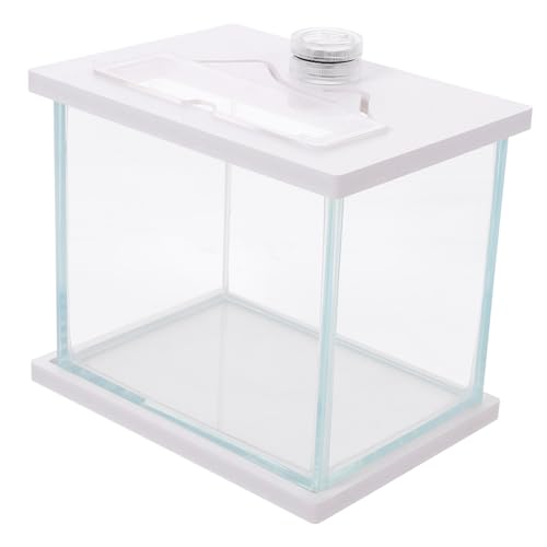 BESPORTBLE Aquarium Vakuum Filter Tank Betta-Fischschale kleines Terrarium hochzeitsdeko hochzeitsdeco Zimmerfischbecken hochzeitdeko Behälter für Goldfische einfacher Fischbehälter Glas Weiß von BESPORTBLE