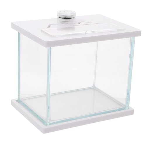 BESPORTBLE Aquarium Aquarium Glas Tank Wohnzimmer Landschaftsbau Decor Desktop Fisch Tank von BESPORTBLE