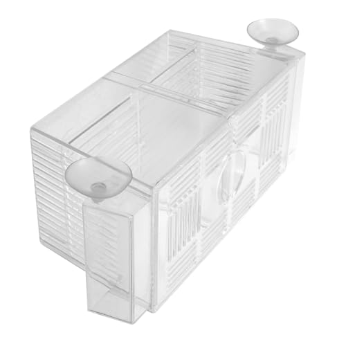 BESPORTBLE Box Fry Box Brutkasten Fischzuchtkoffer Schildkröten Lebensraum Betta Aquarium Mit Trennwand Aquarium Fischzuchtbecken Aquarium Zubehör Aquarium Kinderzimmer Separator von BESPORTBLE