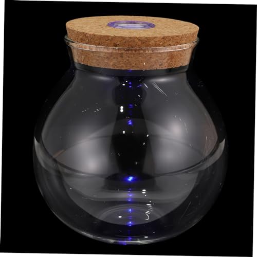 BESPORTBLE Bunte Flasche Transparente Vase Mikro Landschaft Pflanze Terrarium Landschaft Flasche Kristalle Dekor Sternflaschen Moos Dekor Leuchtendes Pflanzendekor von BESPORTBLE