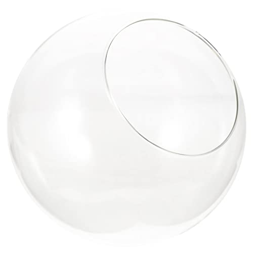 BESPORTBLE Glasterrarium Glas-moospflanzenflasche Mehrzweck-glasflasche Glaspflanzgefäß Vorratsflasche Leeres Glas Landschaftsdekor Landschaftskugel BESPORTBLE Glasterrarium Glas-moospflanzenflasche Mehrzweck-glasflasche Glaspflanzgefäß Vorratsflasche Leeres Glas Landschaftsdekor Landschaftskugel von BESPORTBLE