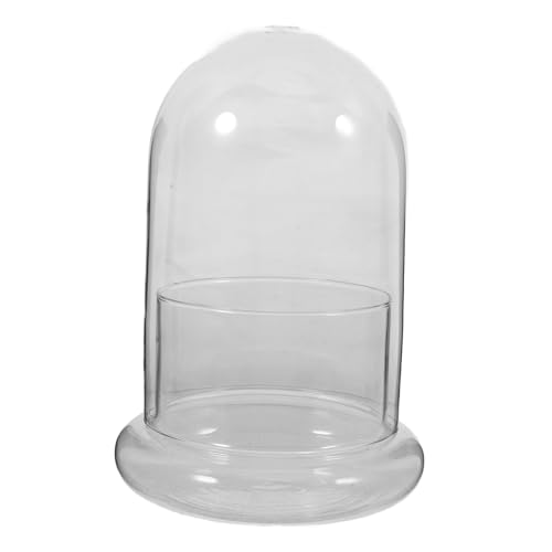 BESPORTBLE Eco-Flasche Buchvase Pflanzen Terrarium Links Blumenvase Steckmoos Landschaft Flasche Pflanzen Flasche Transparente Flasche Tischschmuck Moos Ökologische Flasche DIY-Terrarium Glas von BESPORTBLE