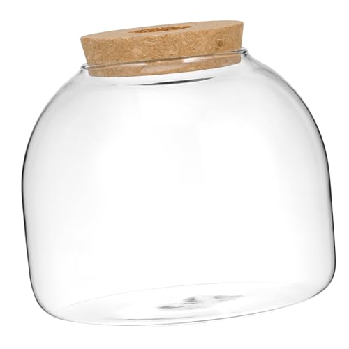 BESPORTBLE Landschaft Terrarium Glas Flasche Terrarium Glas Pflanze Container für Wohnkultur von BESPORTBLE