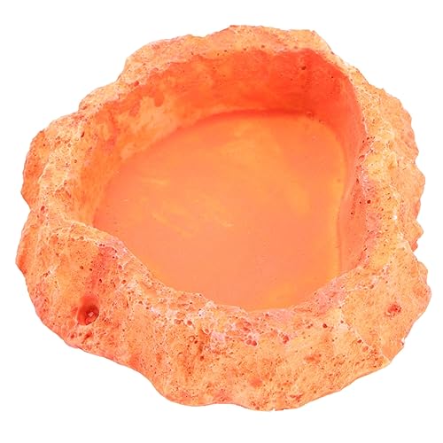 BESPORTBLE Futternapf für Haustiere Reptile Feeder Bowl Lizard Feeder Dish Schildkrötengericht Panzerset für Schildkröten schleichtiere Eidechsen Futternapf für Reptilien Reptilienzubehör von BESPORTBLE