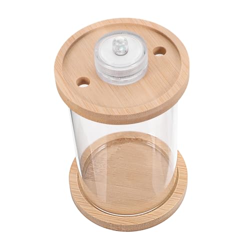 BESPORTBLE Glas Eimer Aquarium Poolheizung Aufbewahrungsbehälter mit Deckel Aquariumlicht Tank led ligts led-Light stechkartuschen angelrolle Glasaquarium Kleines Tischaquarium Holz von BESPORTBLE