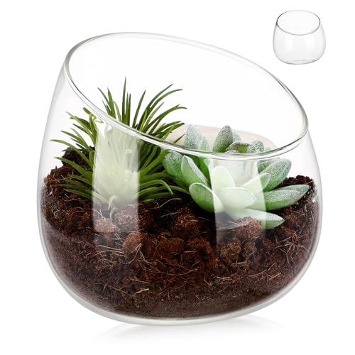 BESPORTBLE Glasvase Terrarienschale Dekorative Schale Kleiner Topf Für Pflanzen Pflanzgefäße Für Zimmerpflanzen Bonbonglas Aus Glas Klare Glasschalen Glasterrarien Für Pflanzen Transparent von BESPORTBLE