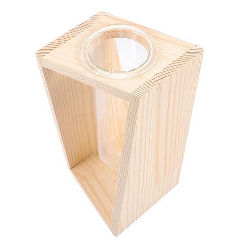 BESPORTBLE Glasvase pflanzgefäße pflanzer pflanzplane pflanzgefäß blumentopf vases Hydroponisches Anbausystem Terrarienset Reagenzgläser aus Glas für Pflanzen Tischausbreitungsstation Holz von BESPORTBLE