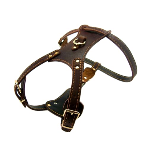 BESPORTBLE Haustierzubehör Hunde Dog Training Collar Hundehalsband mit verstellbarem Riemen für Hunde Katzenhalsband PU-Geschirr modisches Hundehalsband von BESPORTBLE