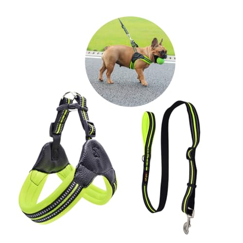 BESPORTBLE Hundegeschirr reflektierende kloben verstellbar hundekostüme für Hunde Dog Accessories Hunde Training Hundewandern Hundeleine Kabelhund ziehen Haustierleine Haustier Geschirr Green von BESPORTBLE