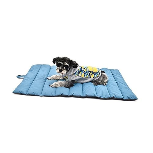 BESPORTBLE Hundematte hundekissen abwaschbar schlafmatte Hundedecke Picknick-Strandmatte Blue von BESPORTBLE