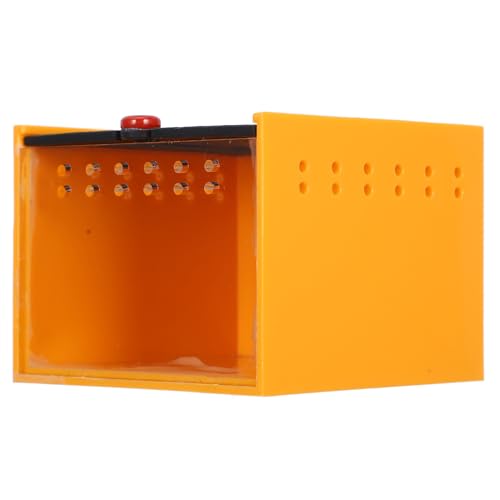 BESPORTBLE Kasten Futterbox für Haustiere Insekten Box Spinnen Box Haustier Aufbewahrungsbehälter Sprungspinnengehege Spinnenpunk Springender Spinnenlebensraum Reptiliengehäuse Acryl Orange von BESPORTBLE