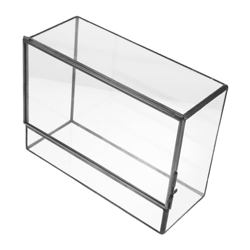 BESPORTBLE Kasten Glas-landschaftstank Ökologische Flasche Pflanzenterrarium Tischschmuck Displayhalter Im Querformat Micro-landschaftshalter Leeres Terrarium Terrarienglas Pflanzenetui Zinn von BESPORTBLE