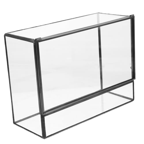 BESPORTBLE Kasten Glas-landschaftstank Pflanzenterrarium Ökologische Flasche Ökologischer Mooshalter Leeres Terrarium Pflanzenetui Saftiges Terrarium Terrarienmoos DIY Glasbehälter Zinn von BESPORTBLE