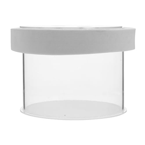 BESPORTBLE Kasten Isolationsbox Für Aquarien Halterung Für Saugnapf Bausatz Kleines Aquarium Futterspender Pumpe Zuchtfischbecken Netz Schwammabscheider Gittertrenner Fangen Panzer Weiß Acryl von BESPORTBLE