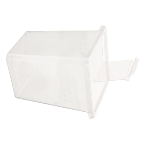 BESPORTBLE Kasten Kletterbox für Haustiere Behälter zum Ausbrüten von Eidechsen Reptilienterrarium Spinnen Box Spider Box Geckobox Eidechsenbecken Lebensraum Futterkästen Geckobecken Plastik von BESPORTBLE