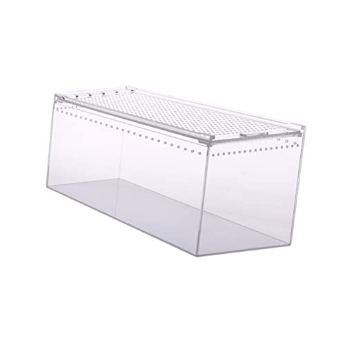 BESPORTBLE Kasten Krabbelbox Aus Acryl Reptilienterrarium Schlangengehege Tierfutterbehälter Behälter Für Haustierfutter Schildkrötenzuchtfall Eidechsenbecken Spinnen-Terrarium Transparent von BESPORTBLE