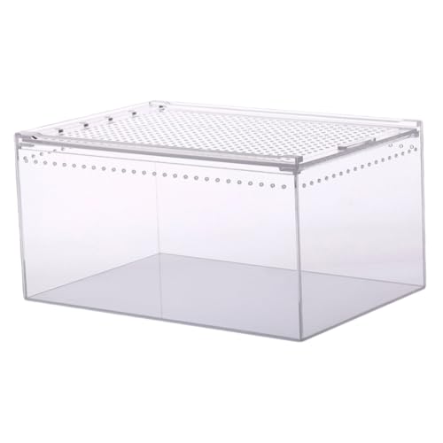 BESPORTBLE Kasten Krabbelbox Aus Acryl Tierfutterbehälter Aquarium Mini-Terrarium Eidechsenbecken Reiseträger Für Reptilien Großer Laufstall Kleine Tierhäuser Haustier Laufstall Transparent von BESPORTBLE