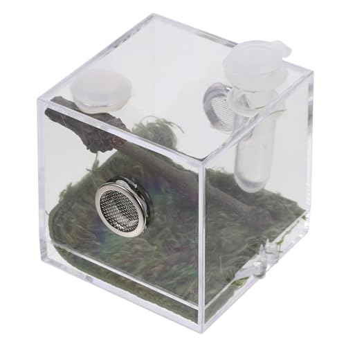 BESPORTBLE Kasten Springspinnen-Zuchtbox klarer Spinnenlebensraum Eidechsen Höhle klarer Behälter Gehäuse Tank acrylbehälter glasgefäß luftbefeuchter Springspinnenfall Insektenschutzbecken von BESPORTBLE